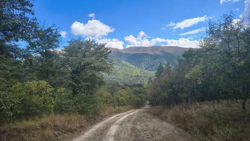 Park Narodowy Dilidżan - image