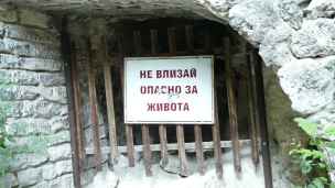  - aladza-001.jpg