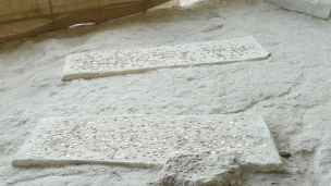  - aladza-004.jpg