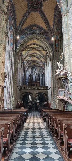 Bazylika Wniebowzięcia Maryi Panny w Brnie - Brno-043.jpg