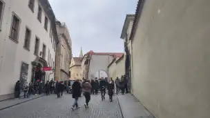 Nowy Królewski Pałac - 0de575bc-977a-47fd-8d75-baf5cffe9d45.jpg