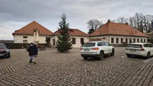  - 4acfccd5-f110-4ade-8990-27088ced2116.jpg