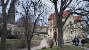 Nowe Probostwo - 866bd63d-6b27-4ce3-8f0f-25b04c3ad4b6.jpg