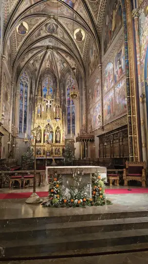 Bazylika katedralna pod wezwaniem Świętego Piotra i Pawła - 6d68d0a1-4ad3-479e-8f72-7be821e858fd.jpg