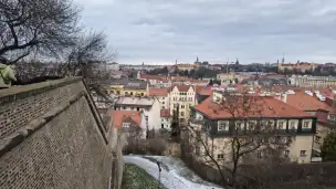  - d7e02f54-8961-44c8-b5c2-0be32f527f91.jpg