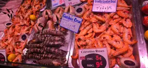 Marché Notre-Dame - wersal-057.jpg