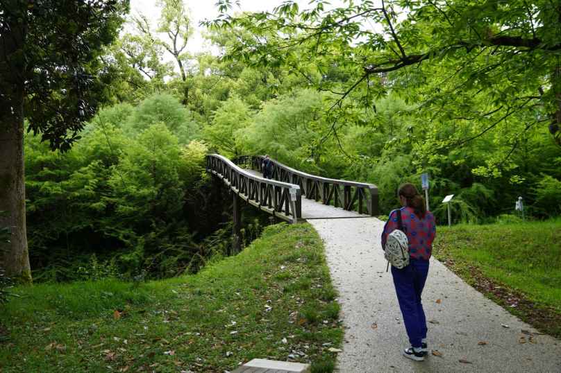 Park dendrologiczny Shekvetili - image