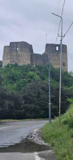 Bebristsikhe - mccheta-140.jpg