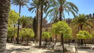 Patio de los Naranjos 2