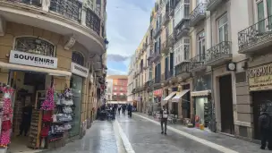  - 495df8cf-c634-4b9f-a2c2-c2760efe882a.jpg