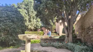 Alcazaba - 10524053-23b2-4079-987c-b9b831b9ede7.jpg