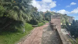 Alcazaba - 8fd17f63-34c7-4bf6-8500-299b2f934c1b.jpg