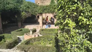 Alcazaba - 9c7e0513-84fc-4dfd-af8e-407448344de6.jpg