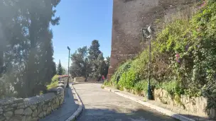 Alcazaba - c1361cb3-d280-4e71-82a0-263558d7bcec.jpg