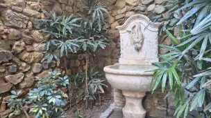 Alcazaba - c87a4713-63e1-4660-8feb-fd1f84b5b788.jpg