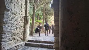 Alcazaba - d7b438ca-15df-4654-a700-9bb1712c096e.jpg