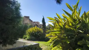 Alcazaba - f3fe260c-9abc-4f70-894b-5998fc7cf332.jpg