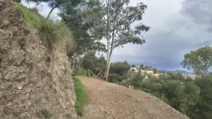 Wzgórze Gibralfaro - 0732180f-6972-4349-93f1-66a75973fdf9.jpg