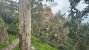 Wzgórze Gibralfaro - 560c492f-f035-4e93-90c2-f48bb1400085.jpg