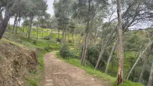 Wzgórze Gibralfaro - acec2bae-a148-4094-9581-c1151503bb7b.jpg