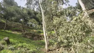 Wzgórze Gibralfaro - ad98b12e-9e82-4fc6-b4cb-8ec770538f0e.jpg