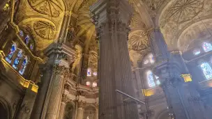 Santa Iglesia Catedral Basilica de la Encarnacion - d5d61767-4123-45e0-914b-dcf0eff774cf.jpg