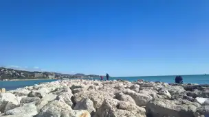 Playa la Malagueta - 38880019-8974-4e9d-b5ad-d5458959ce79.jpg