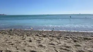 Playa la Malagueta - 38c24ece-f09e-4a7f-a5e3-80249c9b6762.jpg