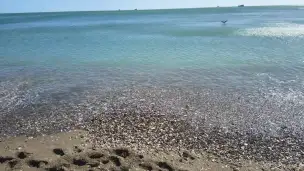 Playa la Malagueta - 89af354d-ad05-4908-837c-5a9a2c0a9d8b.jpg