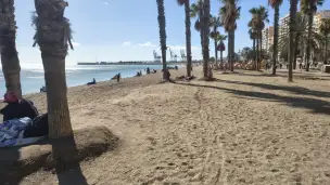 Playa la Malagueta - 9047309c-f8f4-40a2-be4a-ffff310d86c9.jpg