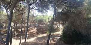 Punta Umbria - wybrzeże Atlantyku - huelva-010.jpg