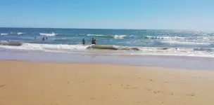 Punta Umbria - wybrzeże Atlantyku - huelva-019.jpg