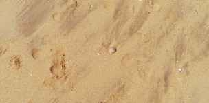 Punta Umbria - wybrzeże Atlantyku - huelva-023.jpg
