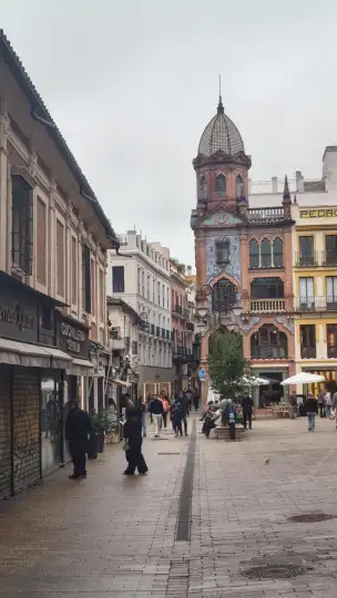  - 0521b863-a6a0-41cf-b270-4505155b810b.jpg