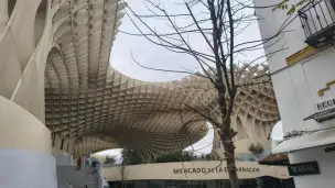 Setas de Sevilla - 682086aa-fc73-42b9-a158-c083e7dc5850.jpg