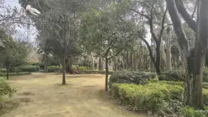 Parque de Maria Luisa - 37ae6553-6875-483a-a4ab-2f5556024d01.jpg