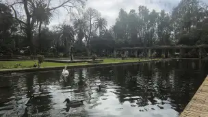 Parque de Maria Luisa - 3a54b33a-057e-40bf-a159-c1c1573653aa.jpg