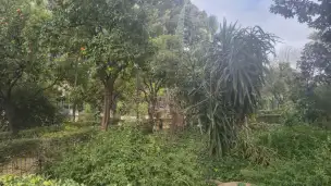 Parque de Maria Luisa - b21f6d93-76bb-4dc9-8424-1eb41b8f6ff9.jpg