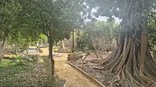 Parque de Maria Luisa - f01d4e33-af12-4822-a513-6c36abbbe2fc.jpg