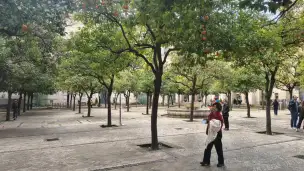 Patio de los Naranjos - 235b2b50-3cdc-4424-b141-4f9f8cebb3a9.jpg