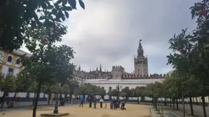 Patio de los Naranjos - 5057173a-6a71-4bdd-8147-f3063bfe9f02.jpg