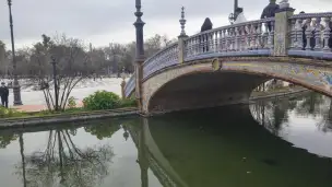 Plaza de España - d8630e27-67e1-4648-b99f-d8089afe9034.jpg