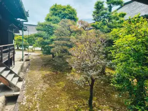 Zamek Nijō - kioto-011.jpg