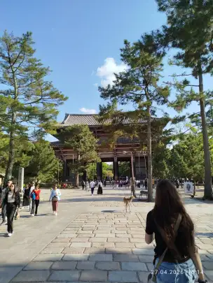 Pawilon Wielkiego Buddy - Tōdai-ji - nara-004.jpg