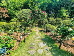 Dwór Hatoyama - tokio-004.jpg