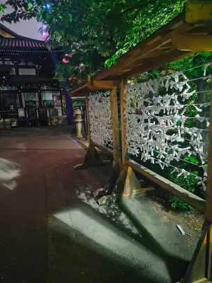 Świątynia Zojo-ji i cmentarz rodziny Togukawa - tokio-003.jpg