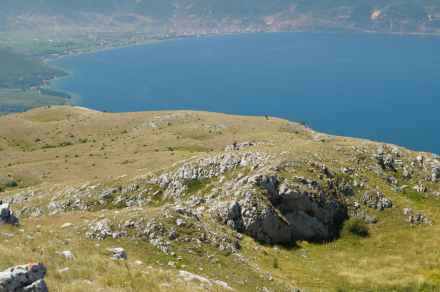 Galiczica