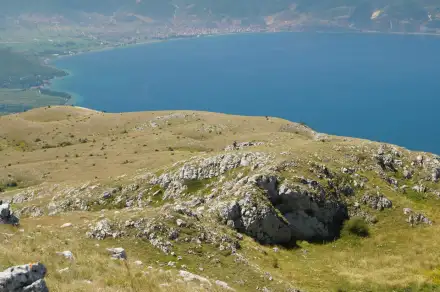 Galiczica