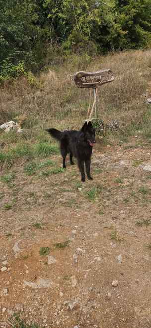  - naum-ochryda-037.jpg