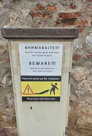 Ostrzeżenie przed klasztornymi pawiami
